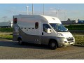 Szczegóły : Transport koni - Najniższe ceny!