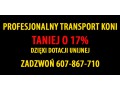 Transport koni z rabatem