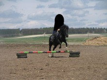 wierchowina