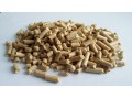 Szczegóły : Pellet Jasny Premium