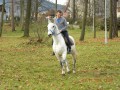 Spokojny 8 letni wałach małopolski do rekreacji, rajdów...