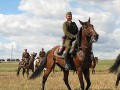 Sprzedam koń Olimp 14 lat wałach