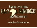 Szczegóły : Nauka jazdy konnej Poznań - profesjonalnie