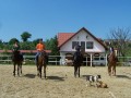 Szczegóły : Nauka jazdy konnej, treningi sportowe