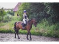 Szczegóły : WAŁACH 3 LATA DO REKREACJI