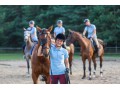 Szczegóły : Instruktorów jazdy konnej zatrudni Stadnina Koni ISKRA na okres wakacji 2017