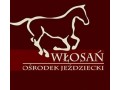 Szczegóły : Kursy przygotowawcze do brązowej odznaki w Ośrodku Jeździeckim Włosań k/Krakowa.