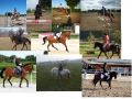 Szczegóły : Trening Kuców 