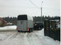 Szczegóły : Transport Koni 