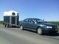 Szczegóły : TRANSPORT KONI Strzegom