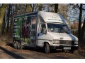 Szczegóły : Transport koni cała Polska