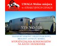 Szczegóły : transport koni i wypożyczania koniowozów kat.B