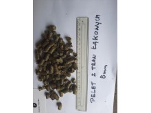 Pellet z Traw Łakowych 0,8mm