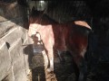 Szczegóły : mr.wedka@gmail.com