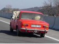 Szczegóły : Transport koni